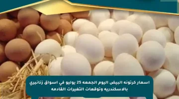 أسعار كرتونة البيض اليوم الجمعة 25 يوليو في أسواق زنانيرى بالإسكندرية وتوقعات التغيرات القادمة